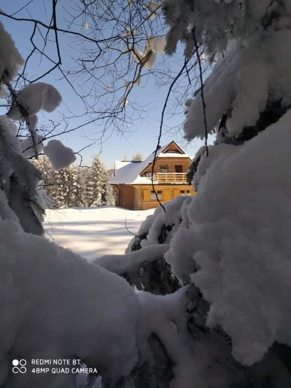 Gosciniec Dziubasowki Villa Nowy Targ Dış mekan fotoğraf