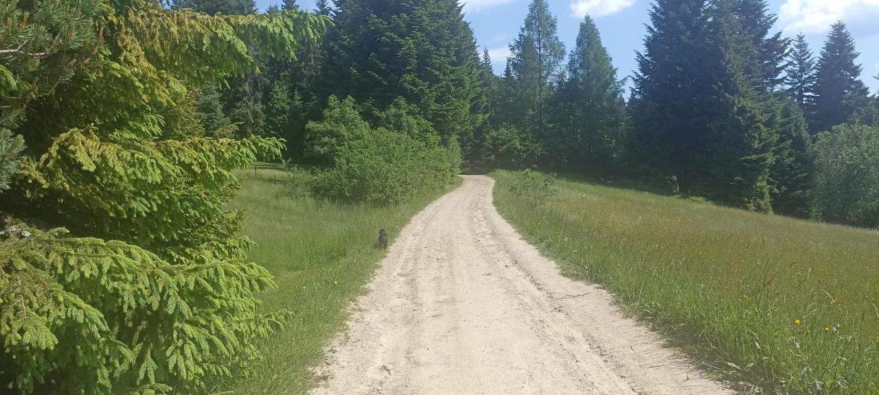 Gosciniec Dziubasowki Villa Nowy Targ Dış mekan fotoğraf
