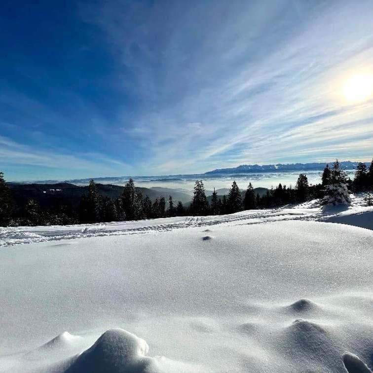 Gosciniec Dziubasowki Villa Nowy Targ Dış mekan fotoğraf