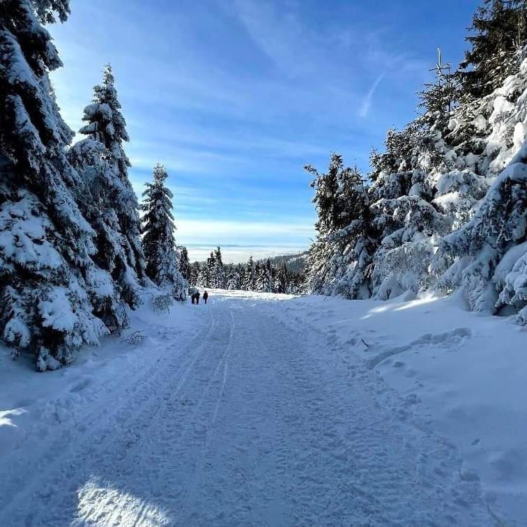 Gosciniec Dziubasowki Villa Nowy Targ Dış mekan fotoğraf