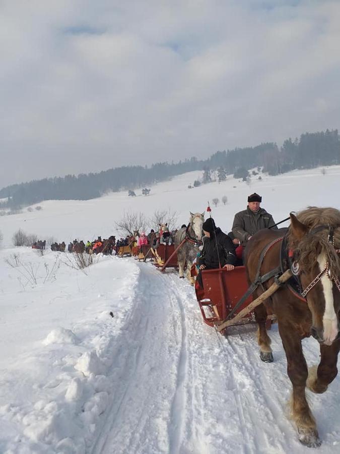 Gosciniec Dziubasowki Villa Nowy Targ Dış mekan fotoğraf