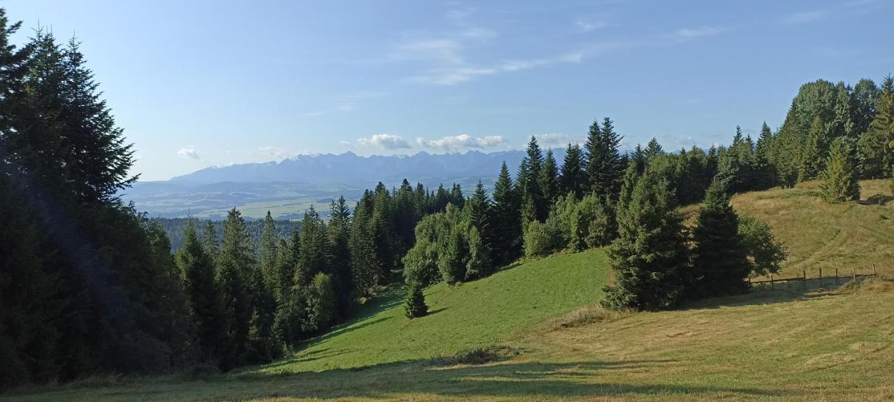 Gosciniec Dziubasowki Villa Nowy Targ Dış mekan fotoğraf